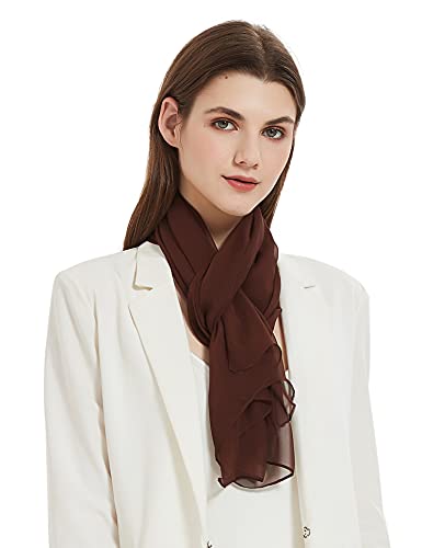 Pantonight Long Chiffon Sheer Scarf For Womens (Brown 060) #TOP1