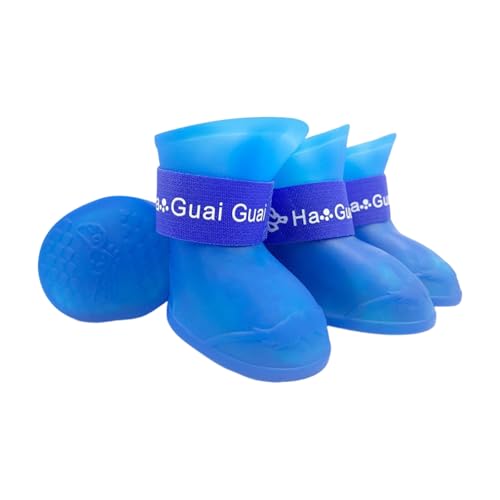 ̌C h h pC S`LTCY  C  Up }WbNe[v ~ߒ VR \