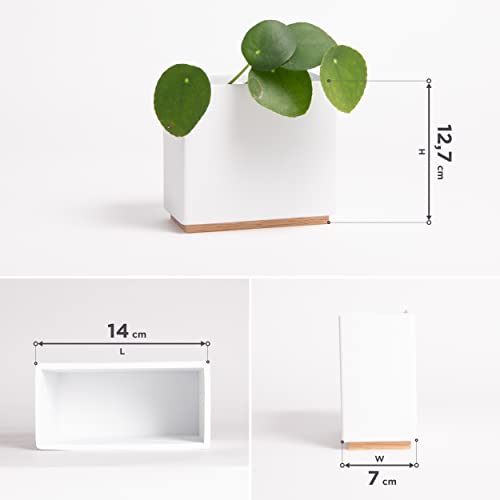 Kazai. Wandvasen -Alma- | Moderne Hängende Blumentöpfe für die Wand | 3-teiliges Übertopf-Set aus hochwertigem Resin für Zimmerpflanzen, Kunstpflanzen, Blumen u.m. | Weiss