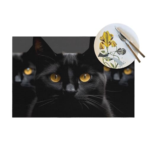 Set de table PVC lavable antidérapant cuisine lot de 6 - 8