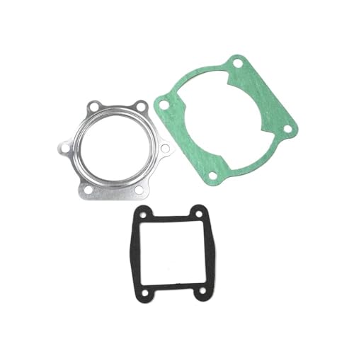 Joint culasse moto YFS200 résout fuite compression 3JM