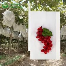 White Paper Guava Fruit Protection Bag, UV Stabilised, 45 GSM, Pack of 25-picture-32