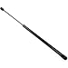 20 inch 80 lbs Gas Prop Lift Spring Rod Strut Heavy Duty Tool Box Lid Top RV