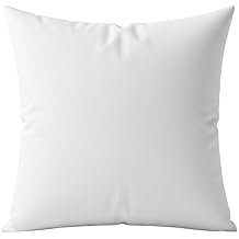 Digital Decor Decorative Throw Pillow Insert 26x26, Extra-Full Down Alternative Hypoallergenic Pillow Form for Sofa, Couch & Bed, Made in USA Square Cushion Insert, White, 1 Pack