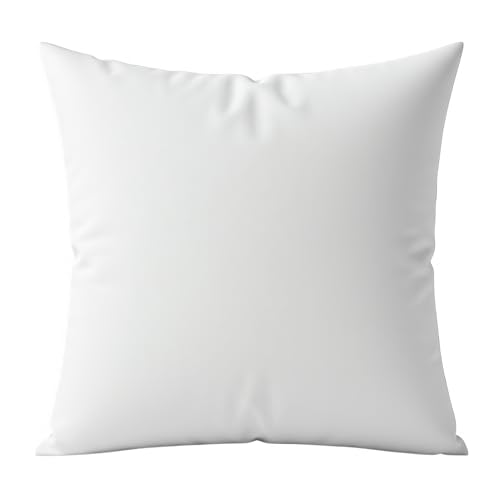 Digital Decor Decorative Throw Pillow Insert 12x12 Premium Hypoallergenic Down Alternative Pillow Form for Couch Sofa & Bed Made in USA Square Cushion Insert White 1 Pack