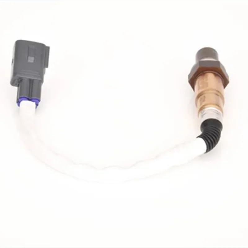 【10月購入】【洗浄スポンジ付】1000mlライフエッセンス２本組 3月購入】【洗浄スポンジ付】1000mlライフエッセンス2本組 3月