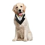 Dog Tuxedo,Formal Pet Triangle Scarf with Adjustable Bowtie for Small Medium Large Dog Bridal Shower Engagement Birthday