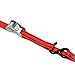 PROGRIP 412460 Medium Duty Cargo Tie Down Strap with Webbing and S-Hook: Aero Design Cambuckle, 8