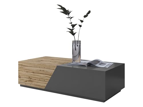Mirjan24 Nesezi Table Basse Extensible avec Récipient - Table Basse Élégante - Table D'Appoint - Gris Anthracite