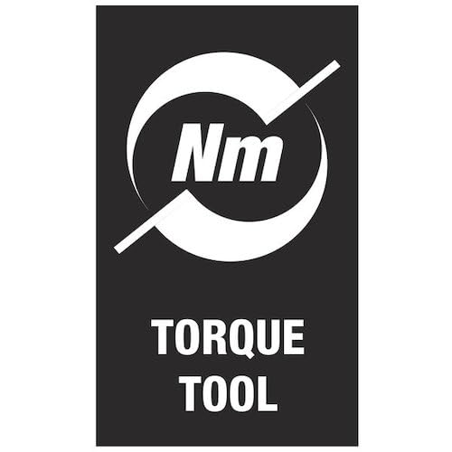 300 TORX 20 X 5,0 Nm : : Bricolaje Y Herramientas