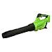 Produktbild Greenworks GD40AB Akku Laubbläser mit Tempomat, bürstenloser Motor, 210 km/h, 15,6 m³/min, Turbofunktion, OHNE 40V Akku & Ladegerät, 3 Jahre Garantie