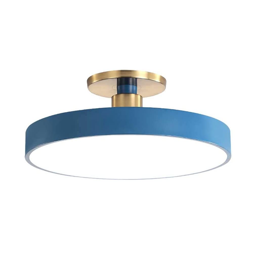 JISHUBO Round Wrought Iron Ceiling Lamp, LED Flush Mount Ceiling Light, Three-color Dimming Ceiling Light, Surface Mount Ceiling Light Fixture, Acrylic Lampshade Flat Lamp
