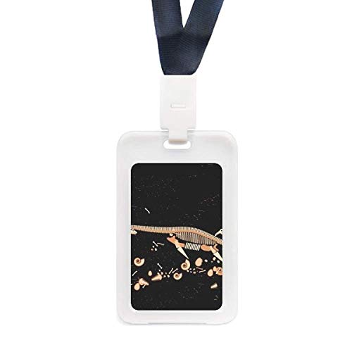 Protège carte d’identité transparent Bones dinosaure noir pour transports et école