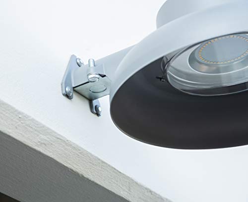 Wej-It Nail-It Dn1411 Drive Anchor, Zamac Alloy, Zinc Plated Finish, Meets Gsa Ffs-325 Group V Type 2 Class 2 Specifications, 1/4" Diameter, 1-1/4" Length (Pack Of 100) #TOP4