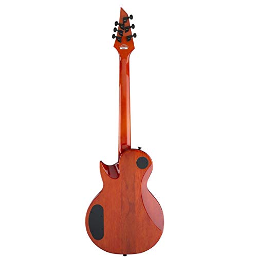 Jackson Pro Series monarkh SCX FM RW CB Guitare électrique - Les Beatles, Paul McCartney, John Lennon, RIngo Starr, George Harrison Jackson Pro Series monarkh SCX FM RW CB Guitare électrique – Image 3