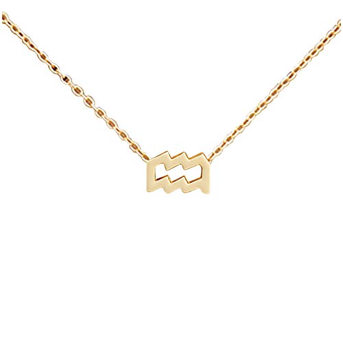 Hemlock Zodiac Necklace 12 Constellation Necklace Pendant 14K Gold-Dainty Necklace Necklace Birthday Gifts for Women Girl