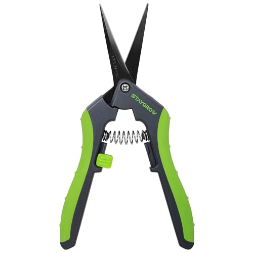 6.5" Straight Pruning Shears for Gardening, Sharp Plant Trimming Scissors for Precise Cuts, Stainless Steel Garden Scissors Bonsai Clippers (1-Pack)