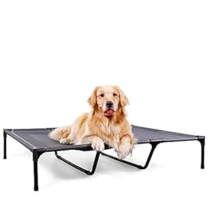 HACHIKITTY Raised Dog Bed with Breathable Mesh, Elevated Cot Cooling Waterproof Outdoor Garden 120 × 90 × 22 cm