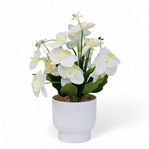 Image of CURATED CART Flower Pot with Artificial Flowers - Orchid White Flower with White Vase | Ideal for Home Decor | Office Decor | Gifting | Size 25 x 15cm