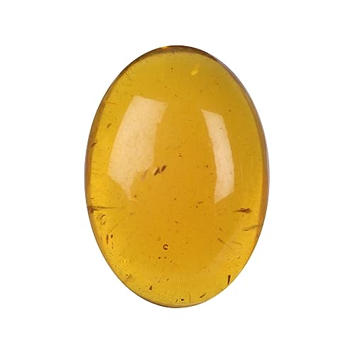 GEMHUB fBAgIWJ[ 100%{EGLFI[oJbg 8.1Jbg {ߐF̕΃IWJ[ lbNXp 19x16x6TCY