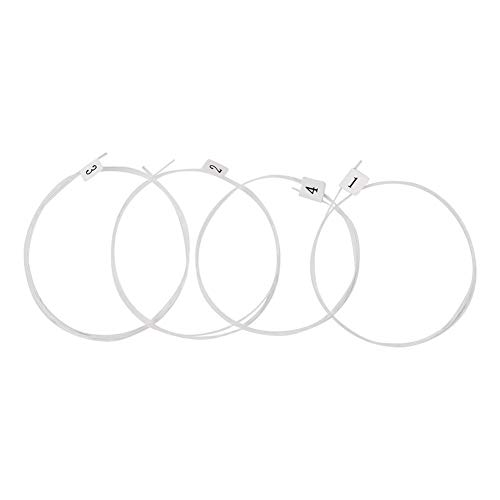 4{ENENEPJ[{t@Co[͓ȍޗ AR[XeBbNM^[