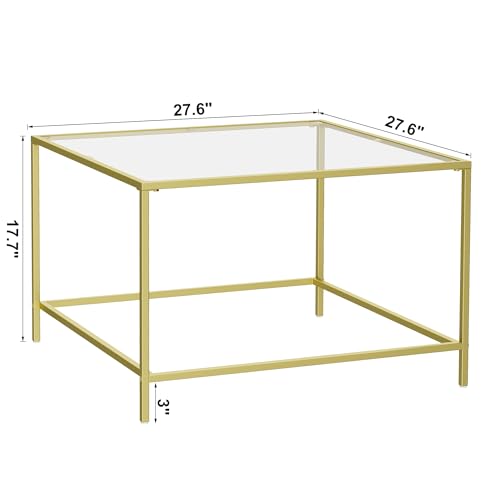 Homleke Glass Coffee Table, Modern Square Coffee Table for Living Room, Minimalist Center Tea Table with Sturdy Metal Frame for Apartment, Office, Easy Assembly, 27.6 x 27.6 x 17.7 Inches, Golden
