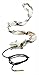 Hoppe's Boresnake Viper 12 Gauge Shotgun, Clam E/F