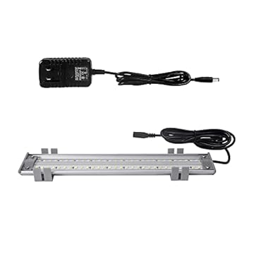 best bird cages for kakarikis that will surprise every bird owner 2 best bird cages for kakarikis