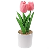 Floweringbeter