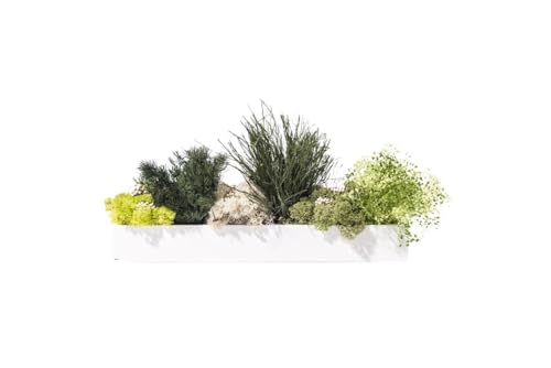 Tableau vegetale stabilisée murale 30 cm