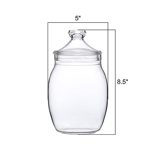 Amazing Abby - Katherine - Acrylic Bathroom Canister (52 Oz), Plastic Apothecary Jar For Vanity, Bpa-Free And Shatter-Proof, Great For Bath Sponges, Shower Balls, Loofah Pads, And More #TOP2