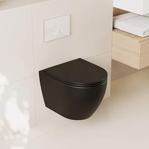 DeerValley In Wall Toilet Combo Set and Carrier System Wall Hung Toilet with Tank Wall Mounted Toilet with Soft Closing Seat 11GPF16 GPF Dual Flush Black 2 Packages Separately