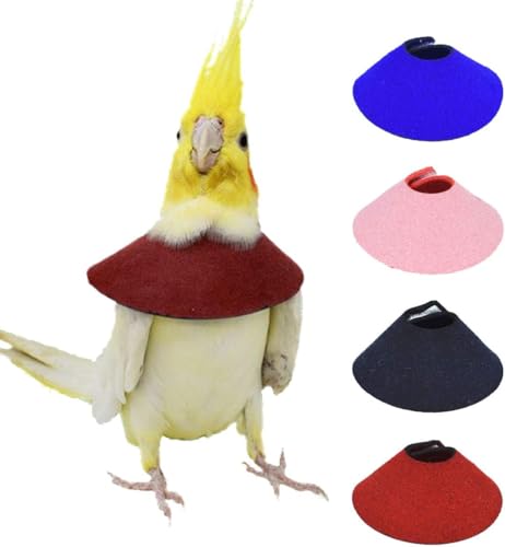 4PC Parrot Anti-bite Elizabethan Collars Birds Anti-Grab Feather Plucking Wound Healing Safety Collar Protective Recovery Cones (S - Suitable for Budgerigar)