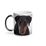 doberman a vendre oreille coupée belgique Design unique : création originale imaginée et conçue en France