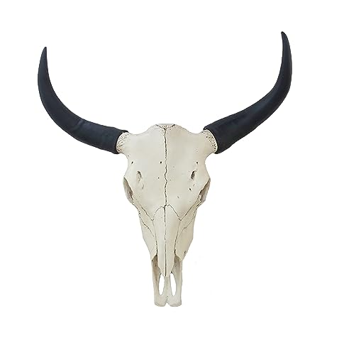 shankala Bison Bull Skull Wall Decor Cow Skull Head LongHorn Sculptures Wall Plaque Crafts Ornaments Bull Horns Decor Environmental Friendly and Resin Skull Sculpture Wall Hanging