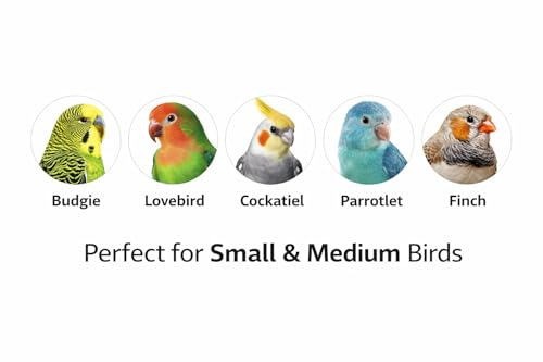 Image of KSK Natural Wood Bird Hanging Toy for Budgies, Lovebirds & Cockatiels - Chewable Climbing Ladder with Real Wood Sticks - Cage Activity Toy for Small & Medium Parrots