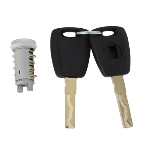 SG Store 1 Barillet de Serrure de Porte avec Clés Compatible avec Fiat 500 2007-2022 Compatible avec Fiat Punto 188 1999-2010 OE 71771348 39,4 X 19,7 Mm...