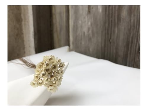 60 tallos de flores secas Margarita blanca para decoración miniatura 1