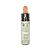 Ainsworths 10 ml Wild Rose Bach Flower Remedy
