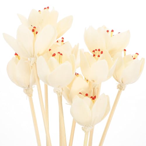 Varillas decorativas de ratán natural para difusor de aceite esencial miniatura 6