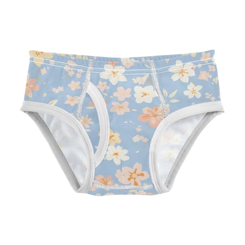 KLL Allover Graphic Floral Baby Boys Comfort Training Underwear Breathable Children Panties