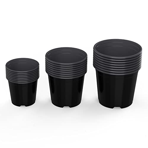 List of Top Ten Best Nursery Plastic Pots Top Picks 2023 Reviews