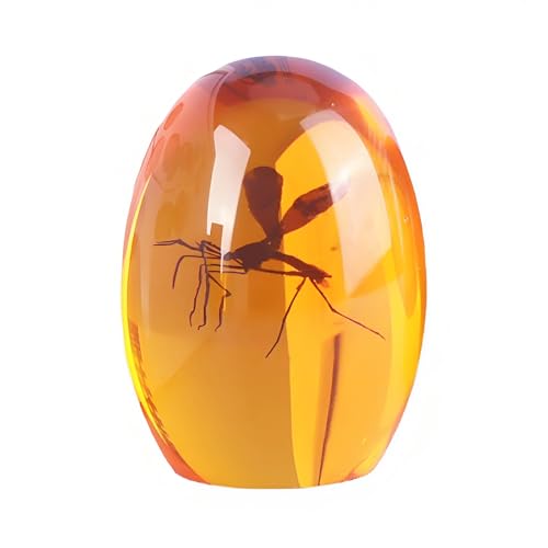 Image of Mosquito in Amber Resin Ornament, 2D Printed Dinosaur DNA Replica, Vintage Style Gift for Bug Lovers Adult, Creative Desktop Decoration Paperweight, Unique Conversation Starter for Desk Display