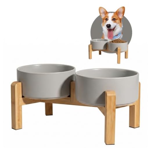 Ceramic Elevated Dog Bowl Set