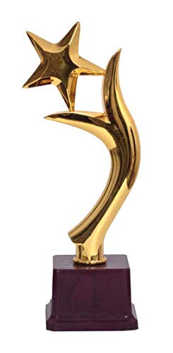 Be Win Trophies Fiber Golden Trophy (B082Y9BLWG) Amazon Price History, Amazon Price Tracker