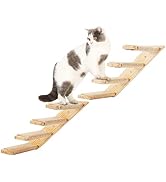 The Cat's Miaow Climb My Stairs レコード The Cat's Miaow – Climb My Stairs, 92–94 – Vinyl (Clear w