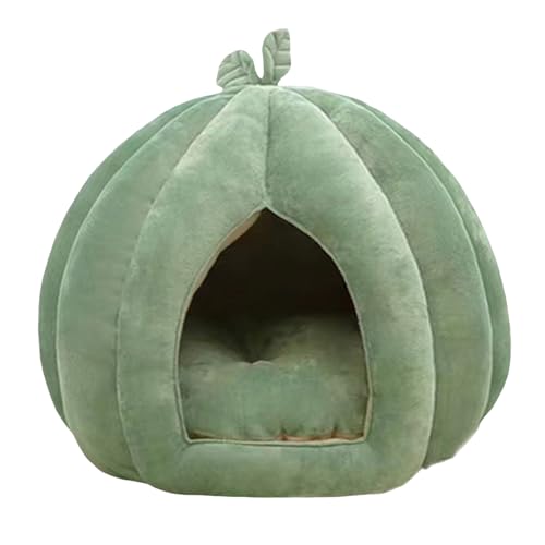   h[^  nEX ybgnEX  xbh LbgnEX Ƃ̃^Cv g ΍  蕨 薰 xe p (O[CS)