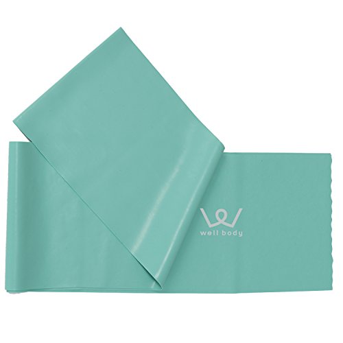 ACR(ALINCO) GNTTCY oh(~fBA) WB011 (㔼g gg[jOp)