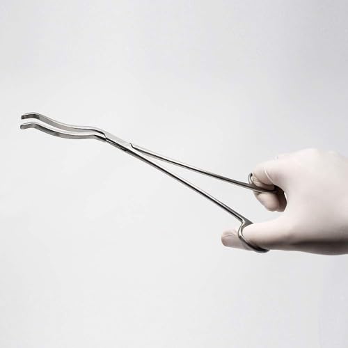 Image of GII Cheatle Forceps | Stainless Steel | For Holding Sterilized Instruments & Materials | Autoclavable | Ideal for Dental, Medical & Surgical Use