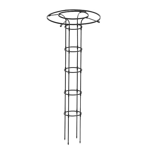 karonpeln Ax |x 鐫A R\ ȒPg ϗtx Ux t[x o KN  ƒ؉  y ϋv g₷ |pi K[fjOpx (180CM)